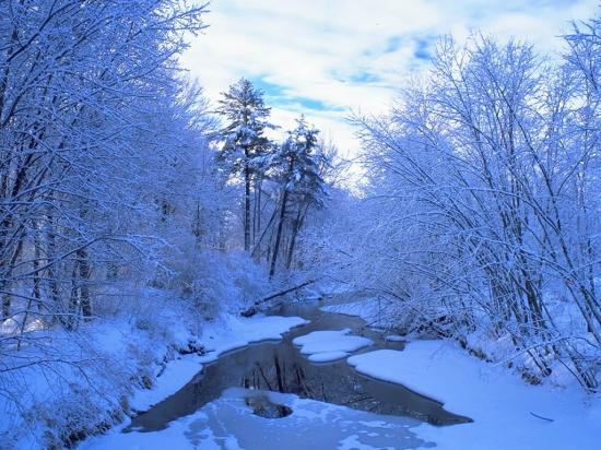 931694r-paysage80_1024.jpg