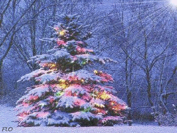 sapin1-zb69v.gif