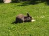 Album par d�faut