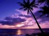 Album par d�faut