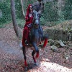 Projet Equus Gothica
