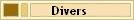 Divers