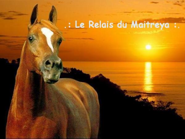 .: Le Relais du Maitreya :.