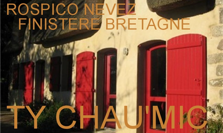 LOUE VILLA PLAGE ROSPICO BRETAGNE SUD FINSTERE