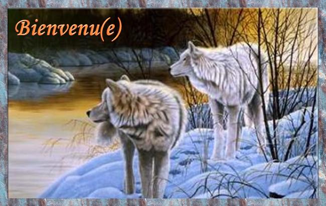 le loup en d�tail