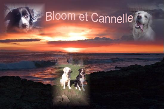 0ei8e18-montage-phine-2.jpg