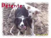 DETENTE