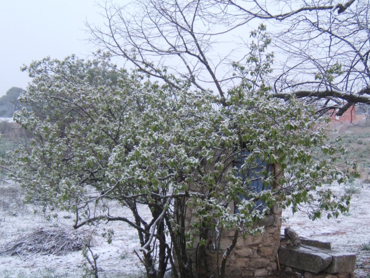 Incroyable!! il neige ce matin.. 24 mars