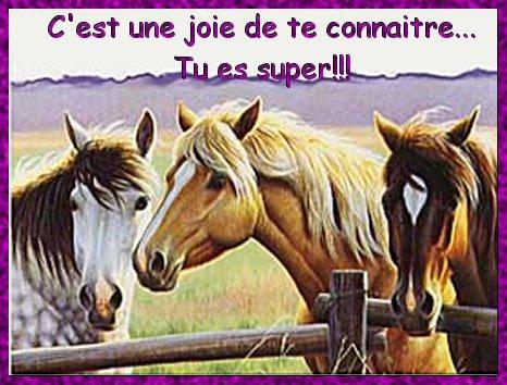 amourcarte1.jpg
