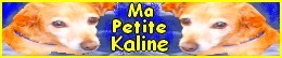 rati�re de 9 ou 10