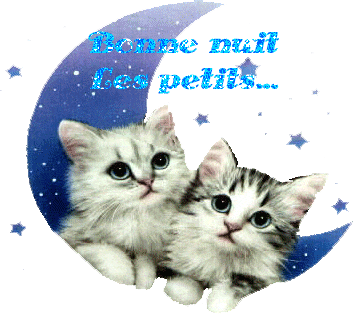 bonne-nuit-s0xcz.gif