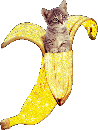 chat-bannane-jagje.gif