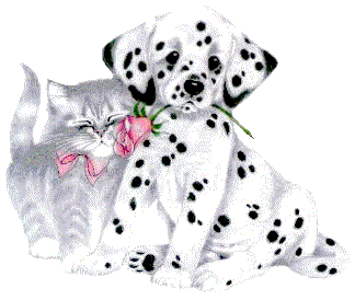 chien-et-chatcalin-es4u4.gif