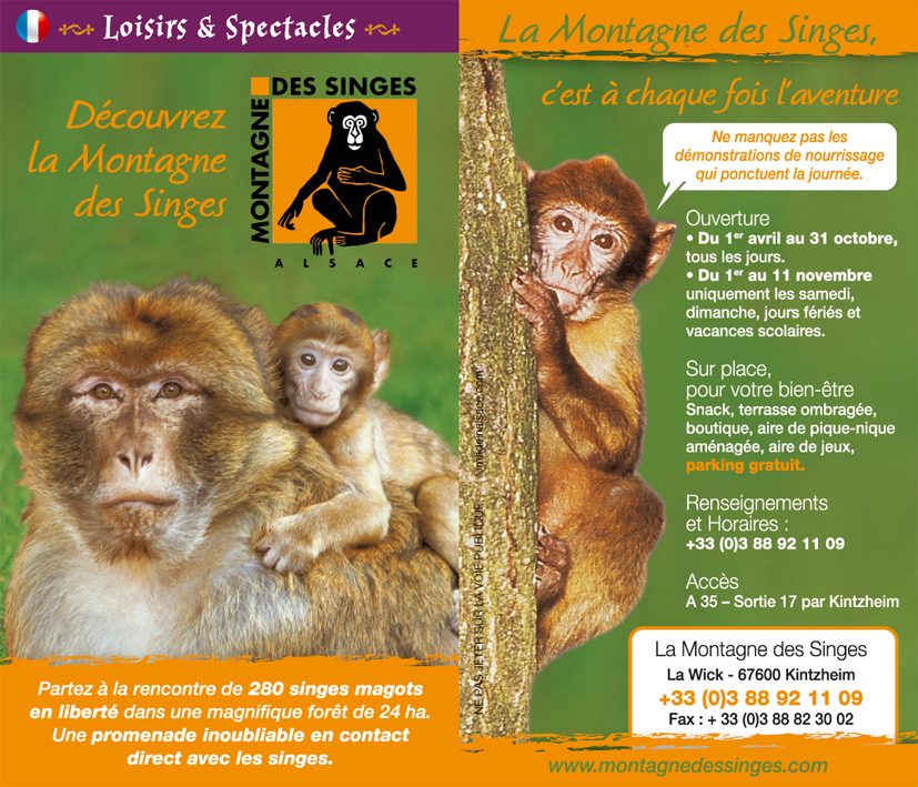 Montagne des Singes