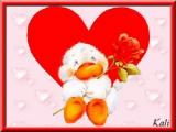 Album par d�faut