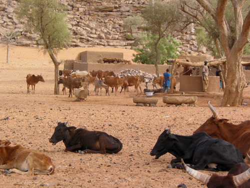 pays dogon41.JPG
