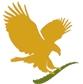 aigle