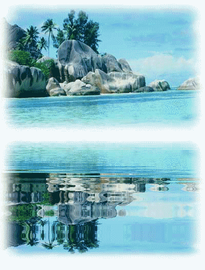 PARADIS