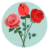 Rosesok