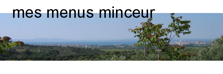 mes menus minceur