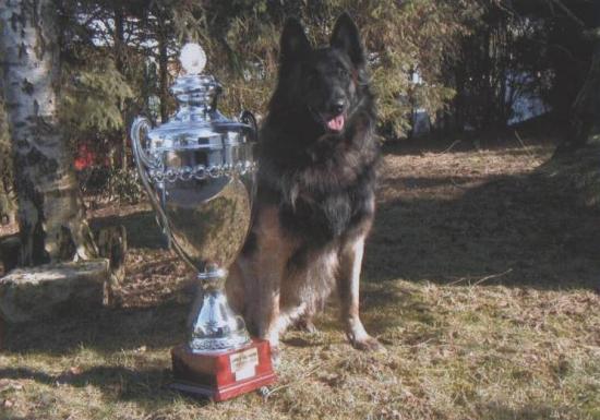 ours du musher