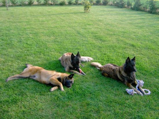 anouk,urka et princesse