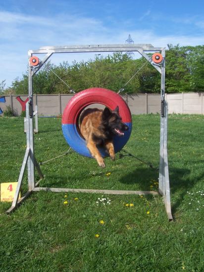 anouk en agility