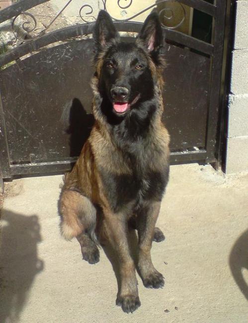 check à 8 mois check à 8 mois