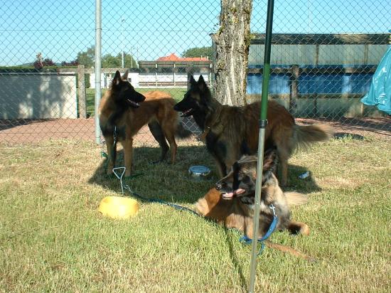 utta,anouk et urka