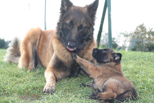 anouk et un bébé d urka