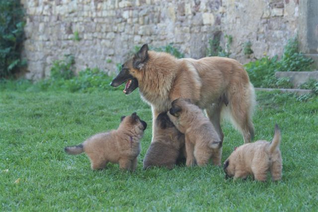 amira et ses bébés