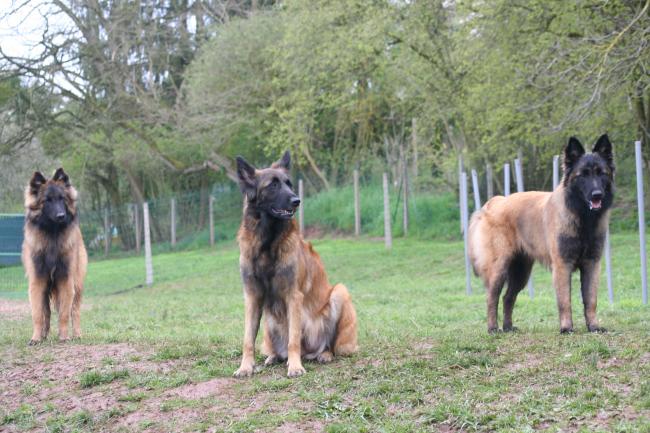 éole , anouk et cheyenne