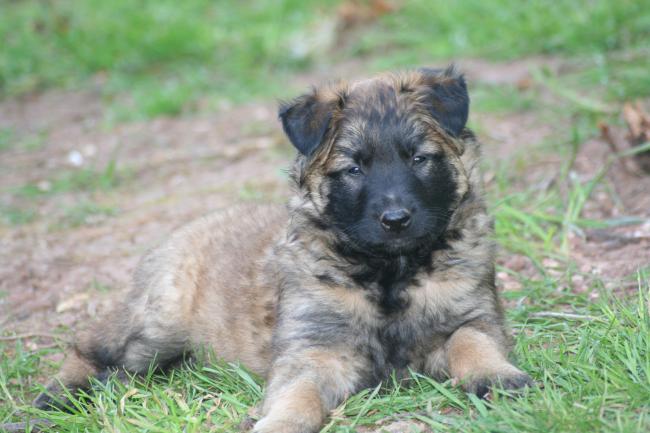 un bébé d anouk