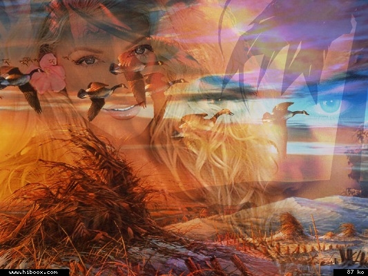 belle images