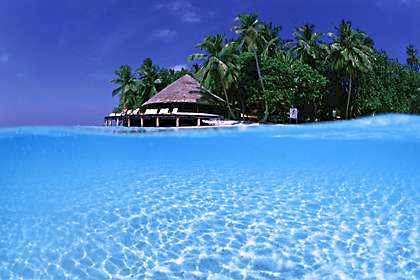 apmaldives.jpg