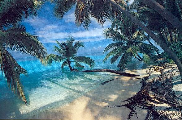 ap2maldives.jpg