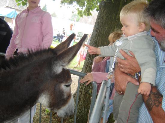 l &acirc;ne et l enfant
