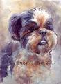 Nos chiots, pages perso