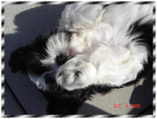 Kent fait le beau
