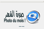 Photo du mois !