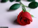 carte_th_272461437272461437.jpg