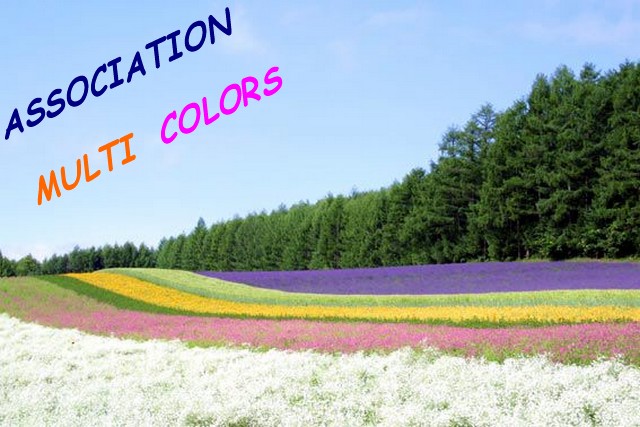 Association MULTI COLORS Evin Malmaison