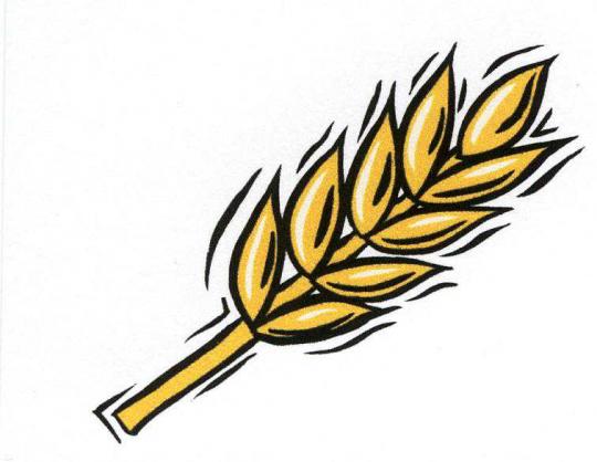 NOUVELLE DROITE INDEPENDANTE