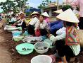 March&eacute; au VN