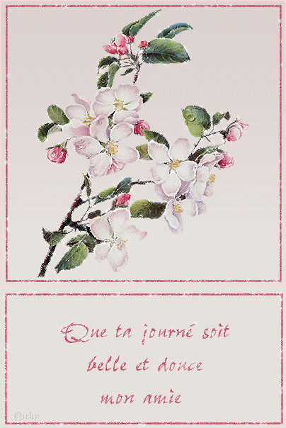belle-journee-animee-aosd5.gif