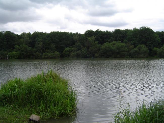 PLAGE en QUEUE D'ETANG