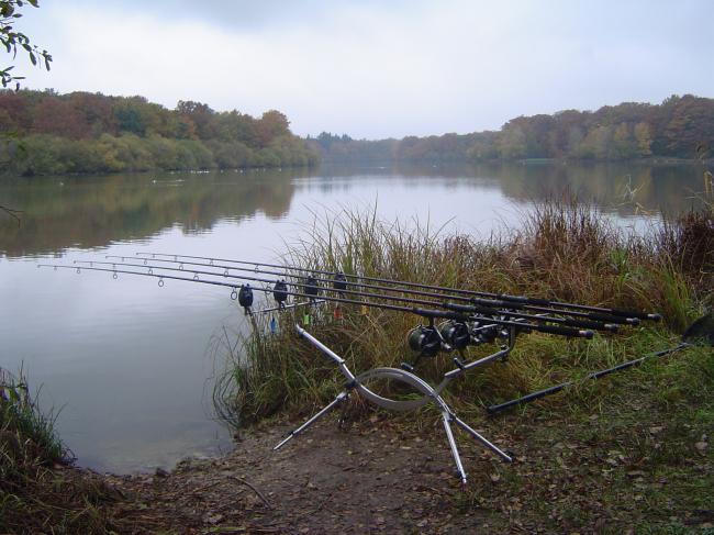 MILIEU D'ETANG C&Ocirc;TE DIGUE