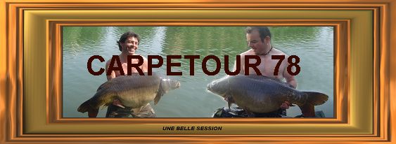 Entrer sur le site LA TOUR le SITE de CARPMAN
