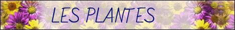 Les Plantes