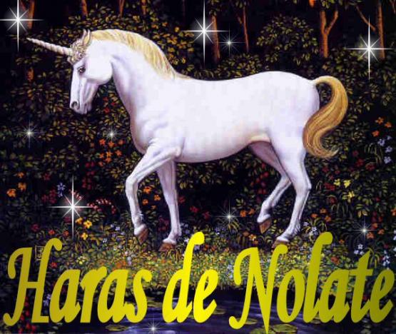 unicorn36.jpg